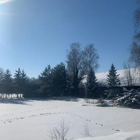 Zlota Rybka * Glinojeck