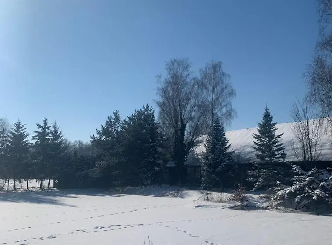 Złota Rybka * Glinojeck